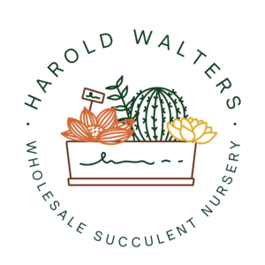 Harold Walters Succulent Nursery