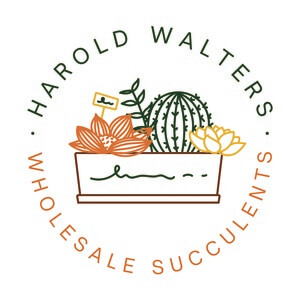 Harold Walters Succulent Nursery
