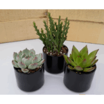 3 INCH BLACK CERAMIC ROUND