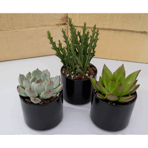 3 INCH BLACK CERAMIC ROUND